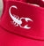 Coachella Valley Scorpions Red Visor